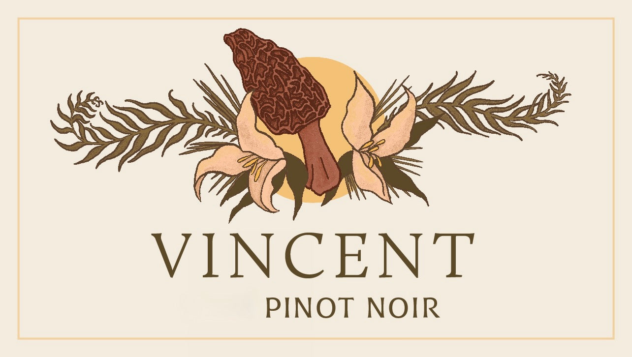 Vincent Willamette Valley Pinot Noir 2024 – Avalon Wine