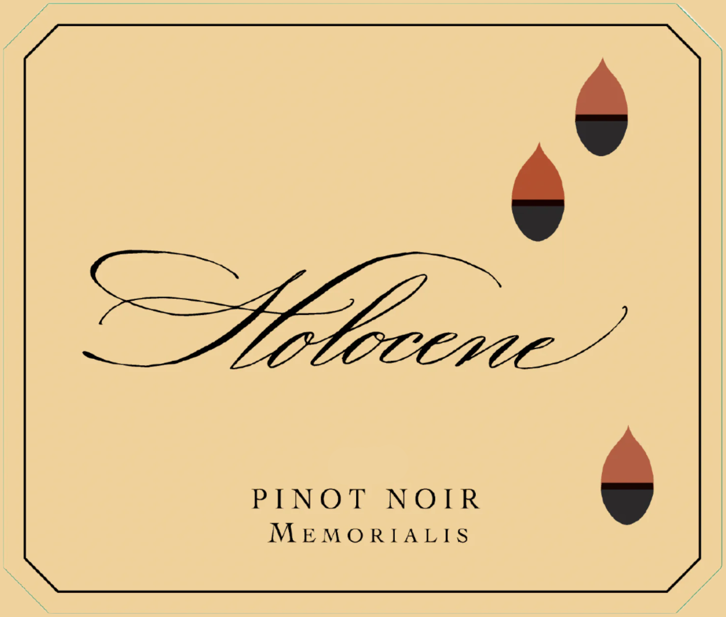 Holocene Memorialis Pinot Noir 2022 Avalon Wine