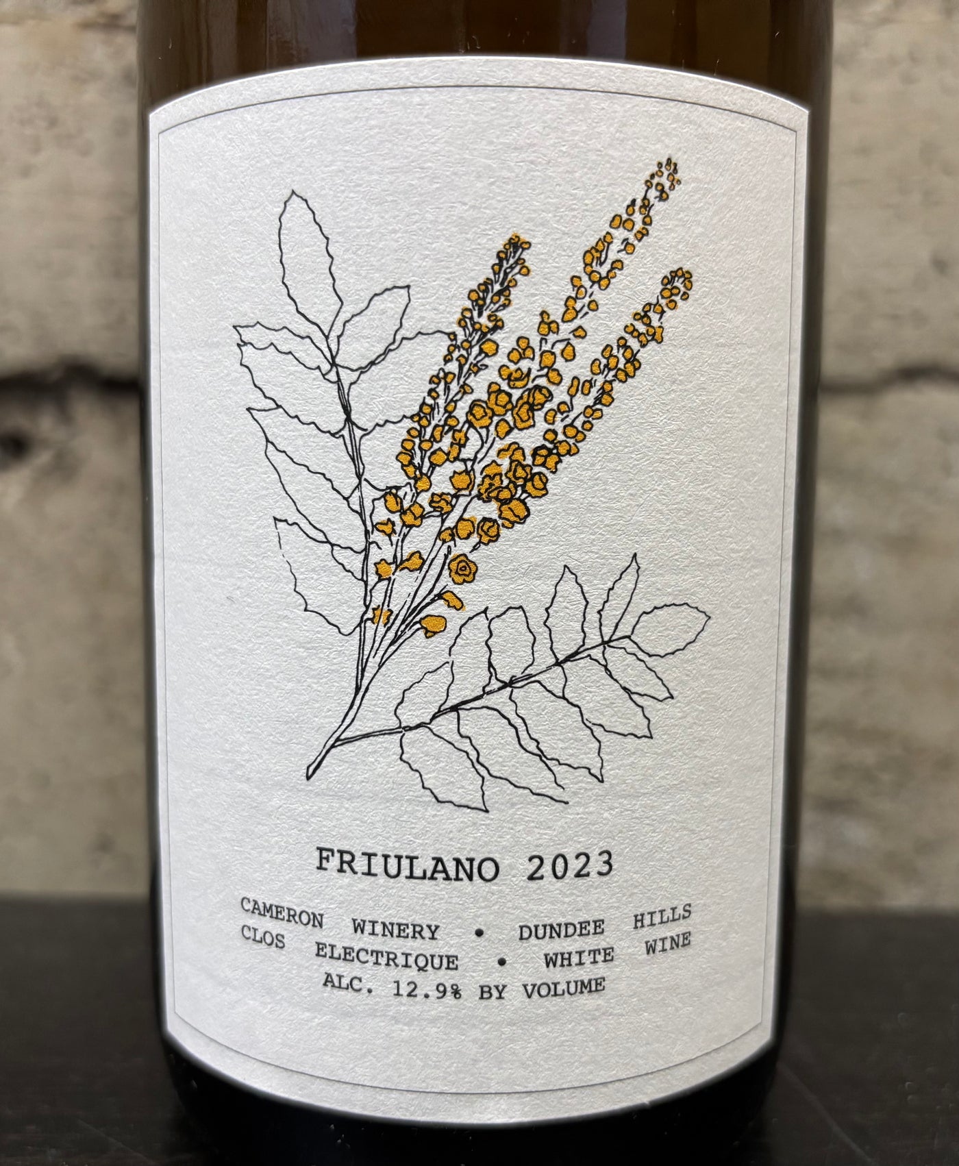Cameron Friulano Clos Electrique 2023