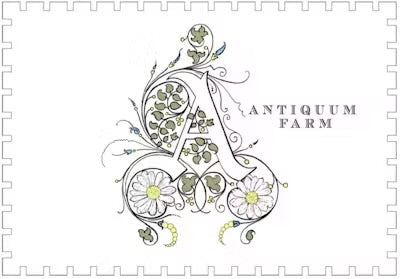 Antiquum Farm Daisy Pinot Gris 2023