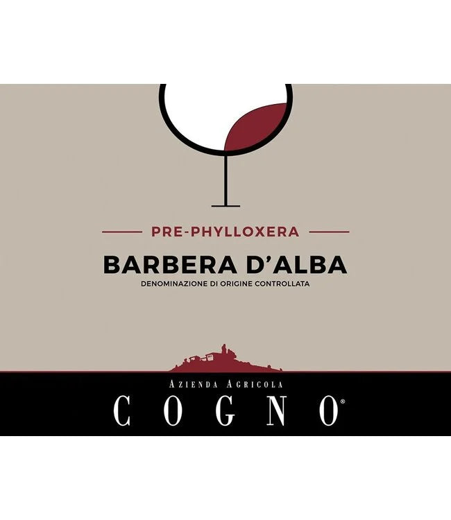 Elvio Cogno Pre-Phylloxera Barbera d'Alba 2023