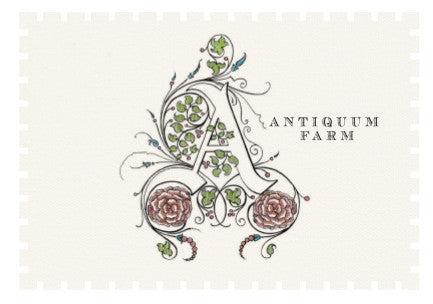 Antiquum Farm Aurosa Pinot Gris Rosé 2022
